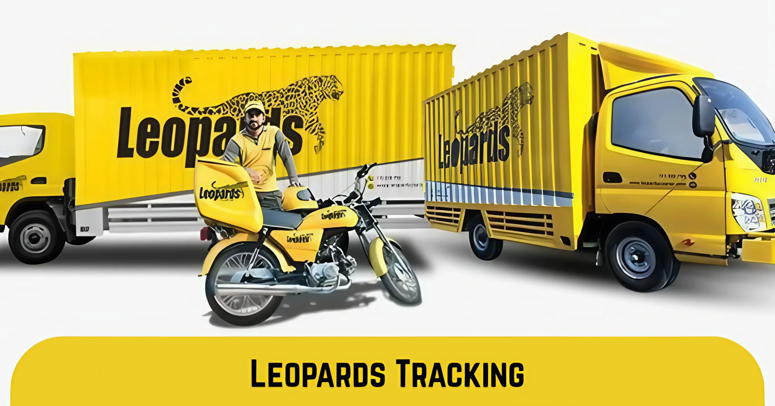 leopard tracking
